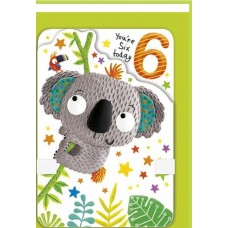 Six today Koala ZIG-ZAG