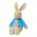 My First Flopsy Bunny Blue (Peter Rabbit)