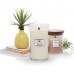 Woodwick Large Hourglass Scented Candle | Island Coconut | with Crackling Wick | Burn Time: Up to 130 Hours, Island Coconut